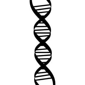 DNA Helix Icon - Black Outline