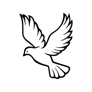 White Dove Vector Illustration
