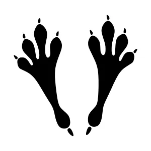 Jaguar Paw Prints - Black Silhouette