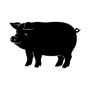 Black Pig Silhouette Vector Illustration