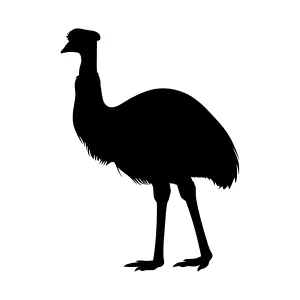Silhouette of an Emu - Black Bird Outline