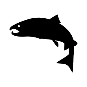 Silhouette Salmon Jumping - Vector Graphic