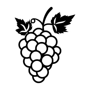 Black & White Grape Vine Illustration