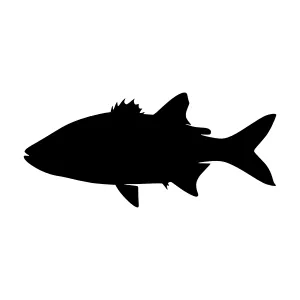 Black Fish Silhouette Vector Icon