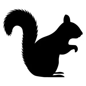 Black Silhouette Squirrel Vector Illustration