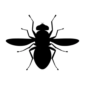 Black Fly Silhouette Vector Illustration