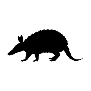 Black Armadillo Silhouette Vector