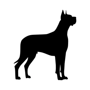 Great Dane Silhouette Vector Illustration