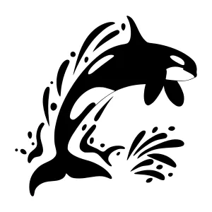 Black Orca Silhouette Splash