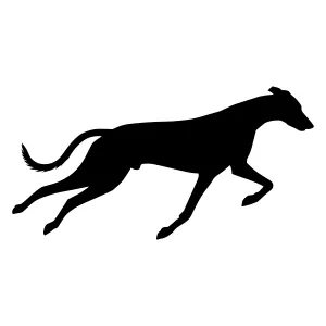 Silhouette Greyhound Running - Vector Animal Graphic