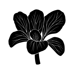 Black Silhouette Flower Illustration