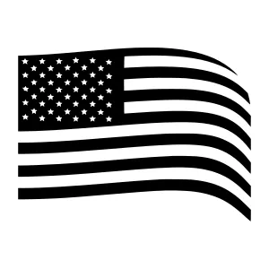 American Flag Vector Illustration - Black & White