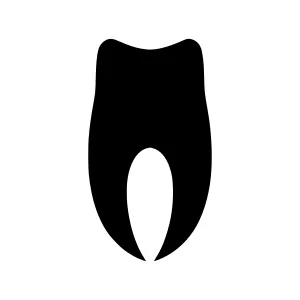 Tooth Icon - Simple Black Outline