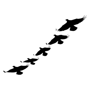 Silhouette Birds Flying in Formation