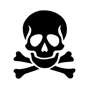 Black Skull & Crossbones Silhouette