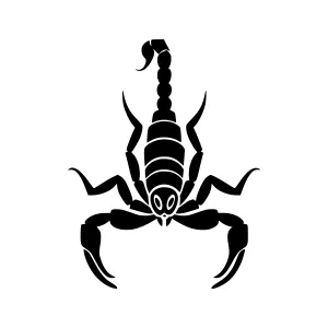 Black Scorpian Silhouette Vector Icon