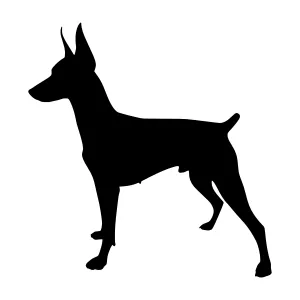 Silhouette Dog - Doberman Pointer