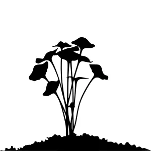 Lotus Flower Silhouette - Minimalist Design