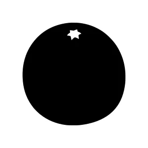Black Outline Orange Sphere with Star