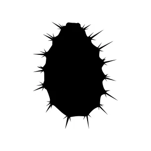 Black Hazelnut Silhouette - Minimalist Design