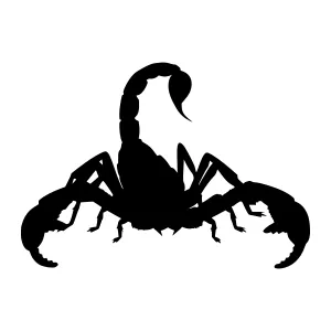 Black Silhouette Scorpion Vector Graphic