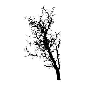 Black Tree Silhouette on White Background