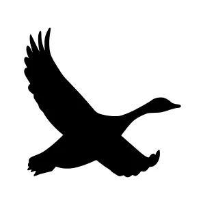 Silhouette Swan Flying - Vector Graphic