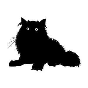 Black Cat Silhouette Vector Illustration