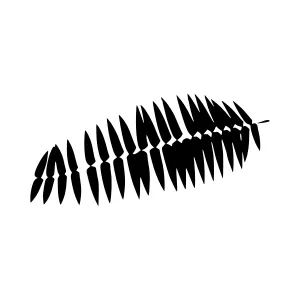 Abstract Spike Graphic - Black on White