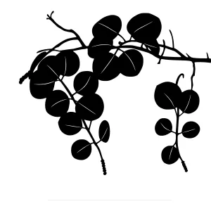 Silhouette Vine Leaf Branch Black White