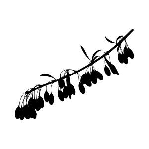 Black Olive Branch Silhouette