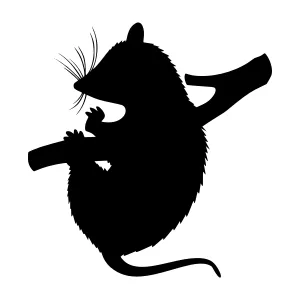 Silhouette Mouse Playing Flute - Vector Illustration