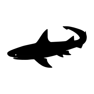 Silhouette Shark Graphic Vector Illustration