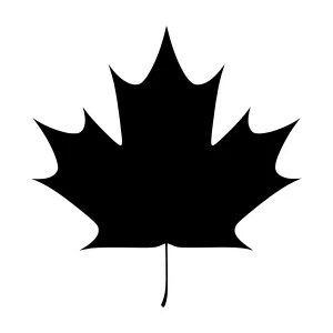 Black Maple Leaf Silhouette Vector