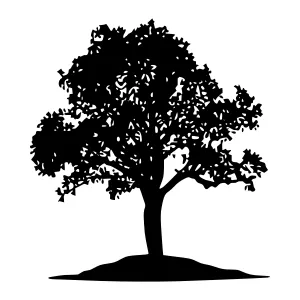 Black Tree Silhouette on White Background