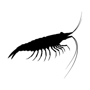 Black Shrimp Silhouette Vector Illustration