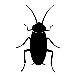 Black Cockroach Silhouette Icon