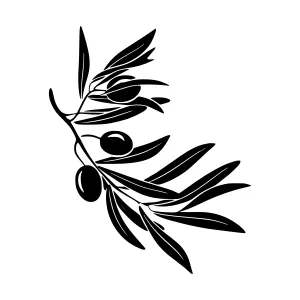 Black Olive Branch Silhouette