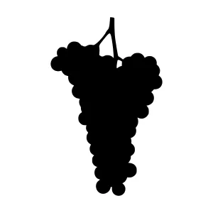 Black Grape Vine Silhouette