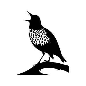 Silhouette Bird Illustration - Black & White