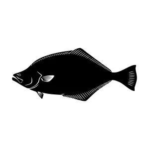 Black Flatfish Silhouette on White Background