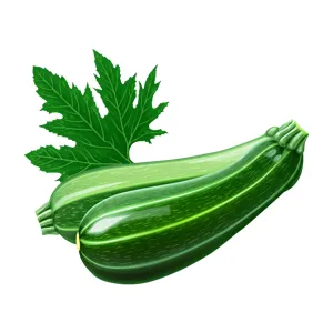 Zucchini Vegetables Illustration - Fresh Produce