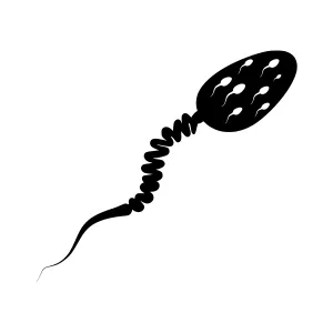Sperm Icon - Black Silhouette