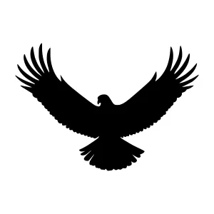 Black Eagle Silhouette - Minimalist Design