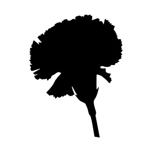Black Carnation Silhouette Vector Graphic