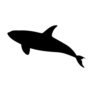 Silhouette Orca Whale Vector Illustration