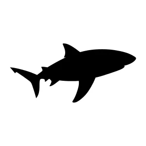 Shark Silhouette Vector Graphic