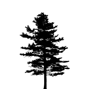 Silhouette Tree - Minimalist Black Outline