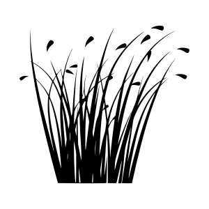 Black Silhouette Grass Illustration