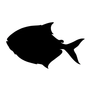 Black Fish Silhouette Vector Icon